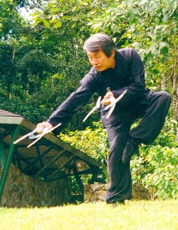 photo of Master Su