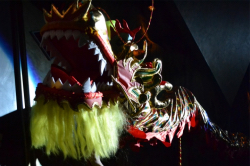 Year of the Dog photo